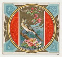 Mockingbird, from the Birds of America series (N37) for Allen & Ginter Cigarettes issued by Allen & Ginter 