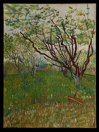 The Flowering Orchard by Vincent van Gogh