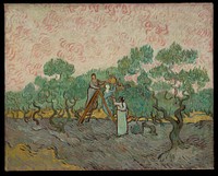 Women Picking Olives by Vincent van Gogh