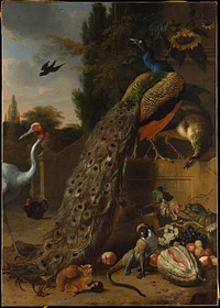 Peacocks by Melchior d' Hondecoeter (Dutch, Utrecht 1636–1695 Amsterdam)