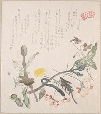 Violets, Primroses and Other Spring Flowers by Kubo Shunman