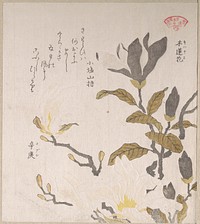 Magnolia Flowers by Kubo Shunman