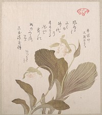 Hotei Flowers by Kubo Shunman