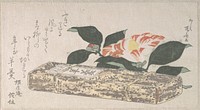 Camellia Flower and Yokan (a sort of bean jelly) Wrapped in Bamboo Skin by Ryūryūkyo Shinsai