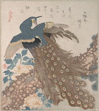 Peacock on Pine Tree and Peonies, from the series Three Sheets (Mihira no uchi)