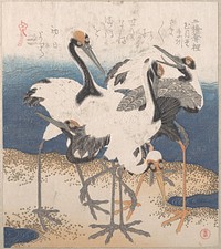 Five Cranes by the Water’s Edge, from the series Three Sheets (Mihira no uchi)