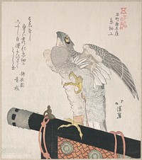 Hawk Made of Silk; Specialities of Karakiya in Kokucho