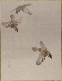 Sparrows Flying by Watanabe Seitei