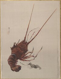 Crayfish by Watanabe Seitei