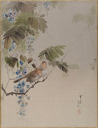 Birds and Flowers by Watanabe Seitei