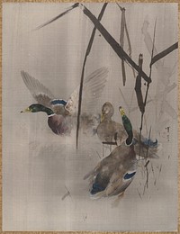 Ducks in the Rushes by Watanabe Seitei