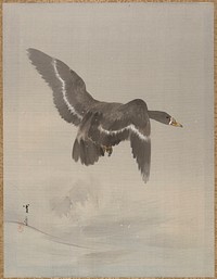 Flying Goose by Watanabe Seitei