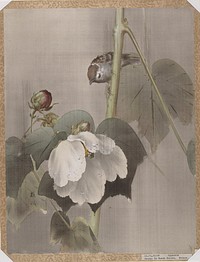 Cotton Rose Mallows in the Rain by Okada Baison