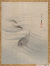 Fishes by Seki Shūkō