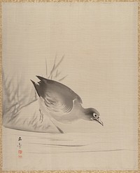 Bird at the Water's Edge by Kawabata Gyokushō