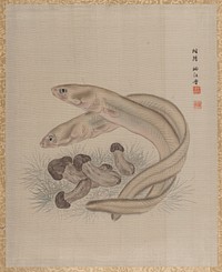 Eels by Seki Shūkō