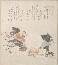 Various Shells with Sea Weeds by Kubo Shunman