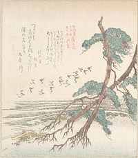 Sea-Side Landscape with Pine Trees and Flying Cranes by Kubo Shunman