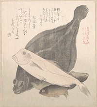Flounder and Other Fishes by Kubo Shunman
