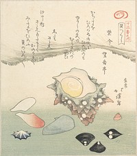 Top-Shell and Various Shells by Totoya Hokkei