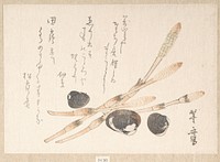 Tsukushi Plant and Shijimi Shells