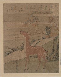 The Cry of the Stag by Suzuki Harunobu