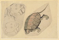 Two Sketches: One of a Turtle, the Other of Two Unidentified Objects, attributed to Katsushika Hokusai