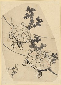 Turtles, attributed to Katsushika Hokusai