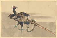 Pheasant and Snake, School of Katsushika Hokusai