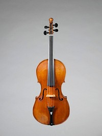 Violin