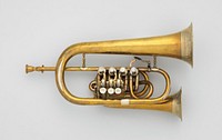 Flügel Horn with Cornet in C