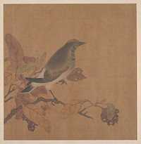 Bird on Branch by Unidentified artist