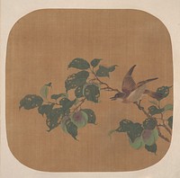 Branch of Flowering Tree with Bird by Unidentified artist