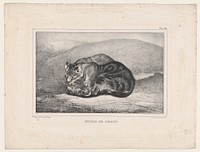 Study of Cats by Antoine-Louis Barye
