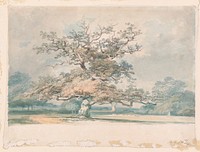 A Landscape with an Old Oak (or Beech) Tree by Joseph Mallord William Turner (British, London 1775&ndash;1851 London)