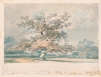 A Landscape with an Old Oak (or Beech) Tree by Joseph Mallord William Turner (British, London 1775–1851 London)