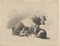 Cow and goat lying down