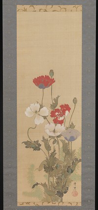 Poppies by Suzuki Kiitsu