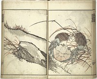 Kinpaen (Bunpō) Picture Album