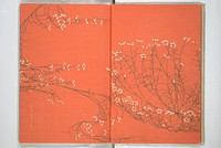 Practical Sketchbook (Ōyō manga)