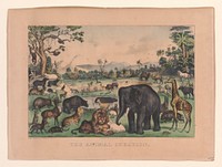 The Animal Creation published and printed by Currier & Ives