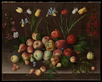 Fruit and Flowers 