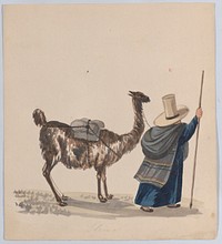 A woman walking with a Llama, from a group of drawings depicting Peruvian dress