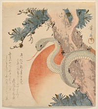 Snake Coiled around a Pine Tree before the Rising Sun (1821) print in high resolution by Keisai Eisen. Original from The Yale University Art Gallery. 