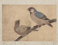 Album of Sketches by Katsushika Hokusai and His Disciples. Original public domain image from the MET museum.
