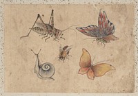 Album of Sketches by Katsushika Hokusai and His Disciples. Original public domain image from the MET museum.