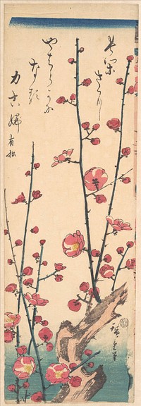 Utagawa Hiroshige (1847) Red Blossom Plum. Original public domain image from the MET museum.