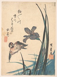 Iris and Sparrow. Original public domain image from the MET museum.