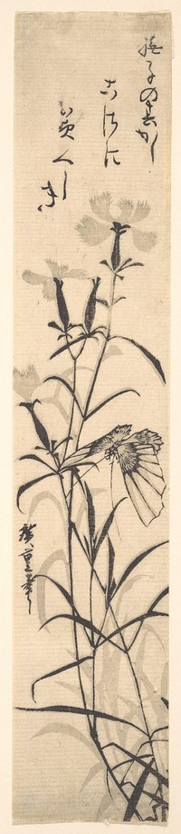 Black and White Print of Butterfly and Flower (a Pink). Original public domain image from the MET museum.