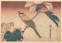 Utagawa Hiroshige (1840) Hibiscus Mutabilis and Jay. Original public domain image from the MET museum.